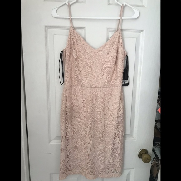 Soft Pink Nude Dress - Picture 1 of 2